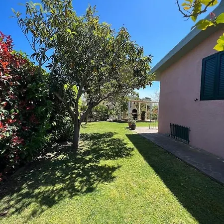 度假居 Putzurile House *